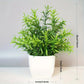 Artificial Potted Plant (1 piece)