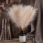 Fluffy Pampas Grass Bouquet Decoration