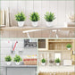 Artificial Potted Plant (1 piece)