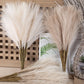 Fluffy Pampas Grass Bouquet Decoration