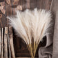 Fluffy Pampas Grass Bouquet Decoration