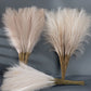 Fluffy Pampas Grass Bouquet Decoration