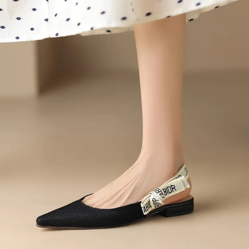 Pointed Toe Flats